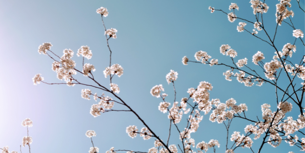 featured-image-9